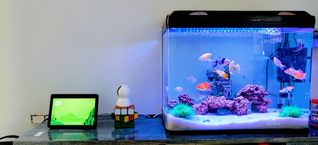 Portable Generators: Best Backup Power for Your Aquarium During Outages