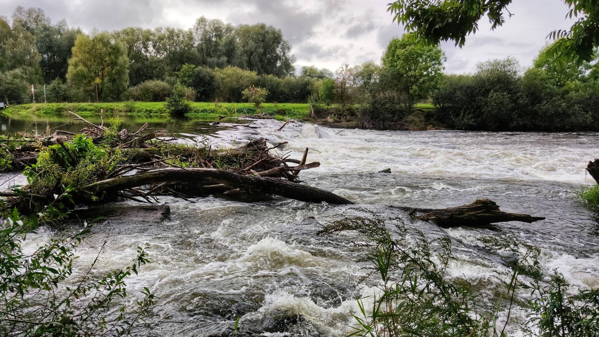 how to prepare for a flood - Growatt
