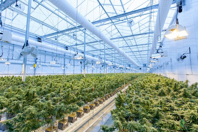 Solar Battery Backup: Make Your Greenhouse Greener than Green