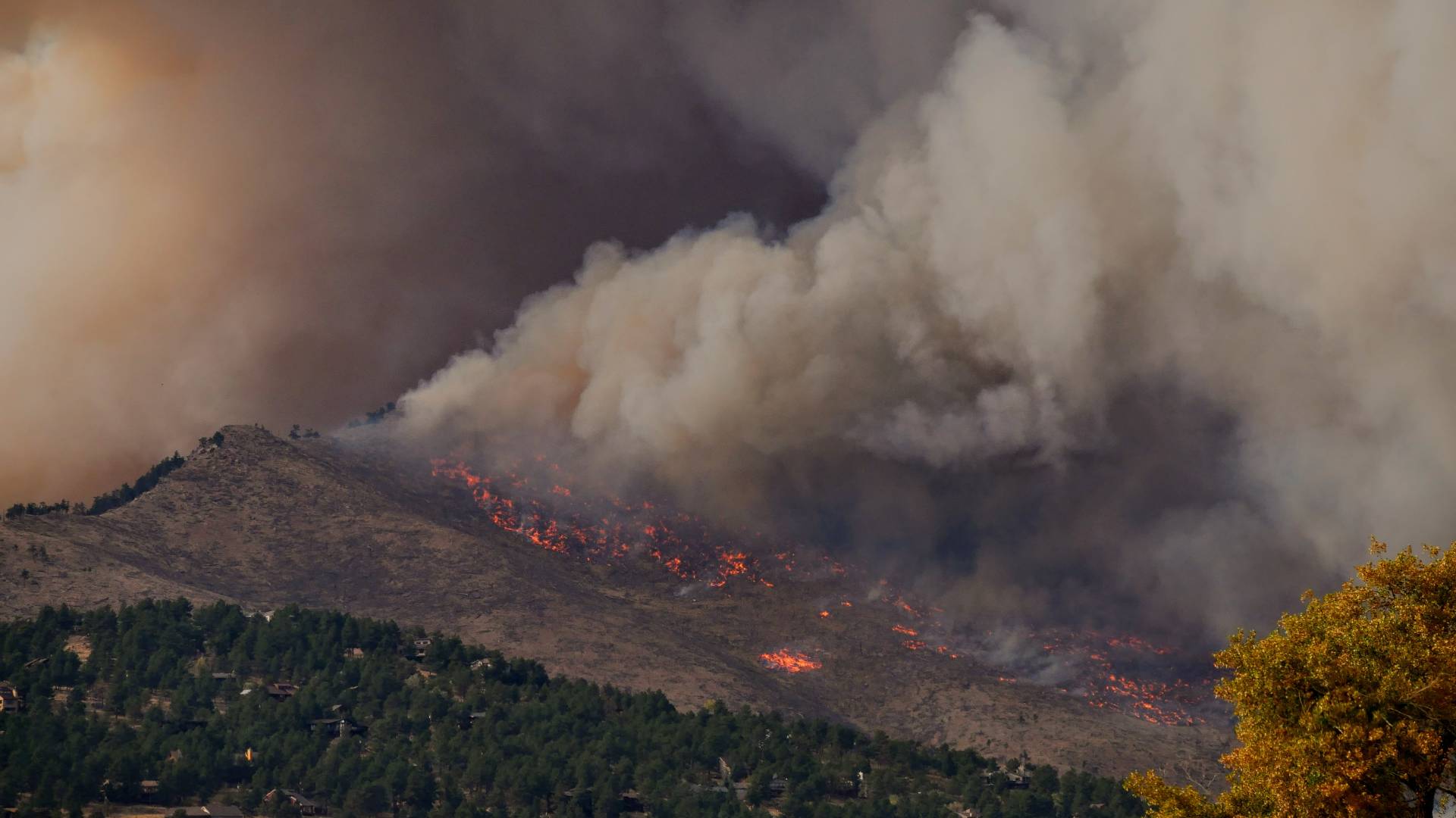 how to prepare for a wildfire - Growatt