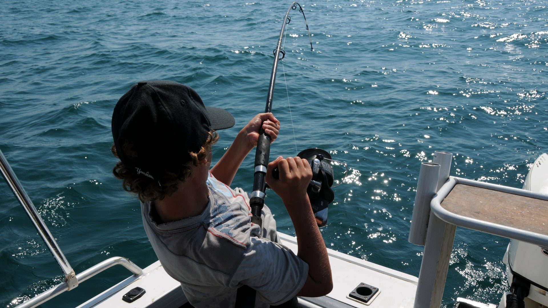 must have fishing gear - Growatt