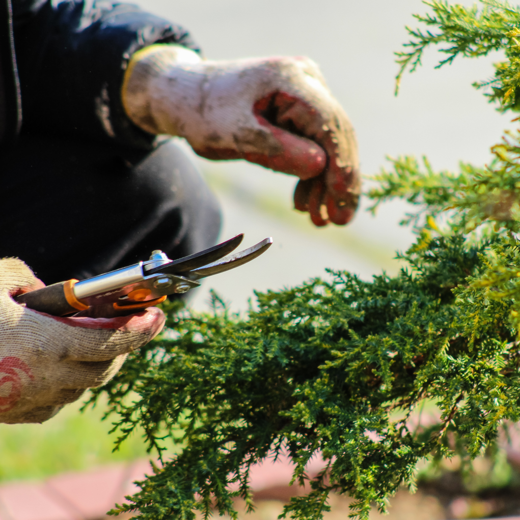 how to light up backyard without electricity - Growatt