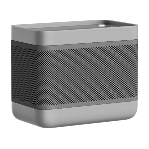 Speaker 